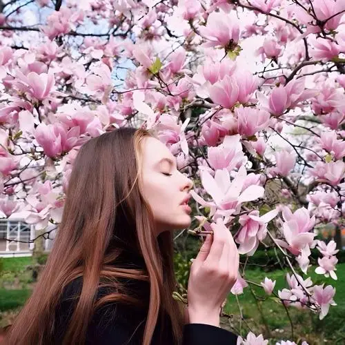 Genevieve Blush